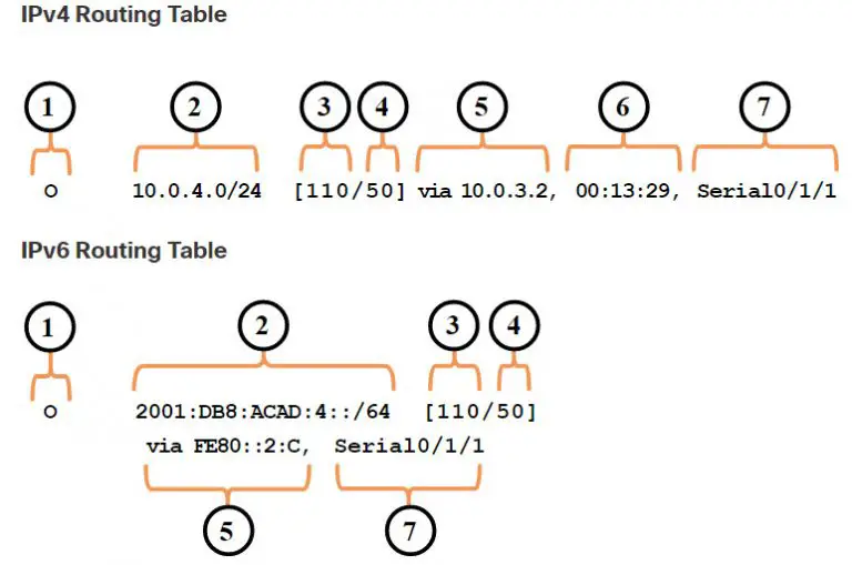 Routing TableEntries